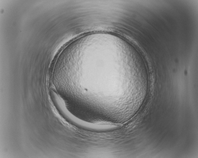 X0000051250991200507152145