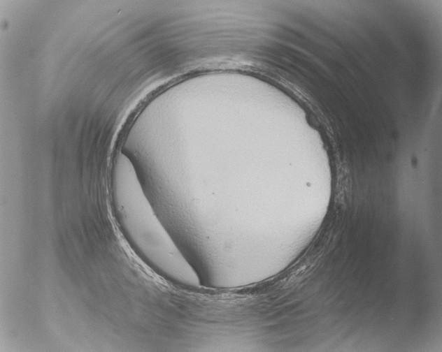 X0000051250992200507152145