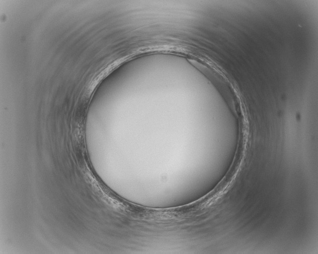 X0000051250993200507152145