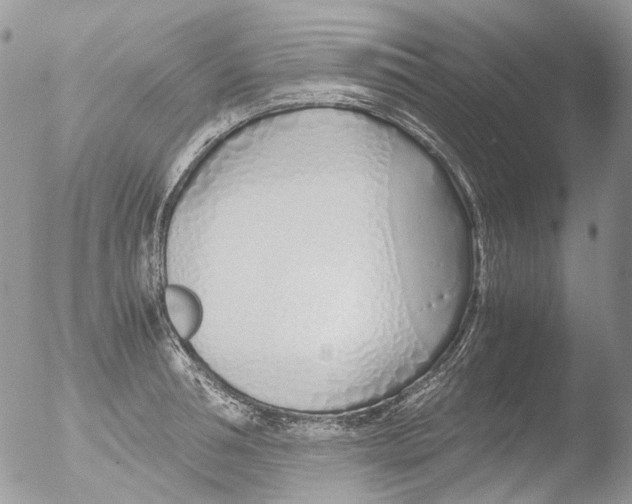 X0000051250994200507152145