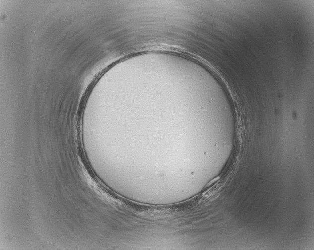 X0000051250995200507152145