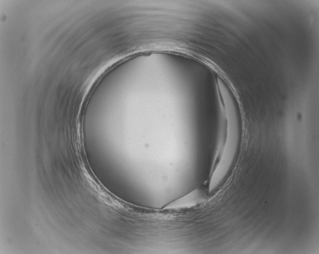 X0000051250996200507152145