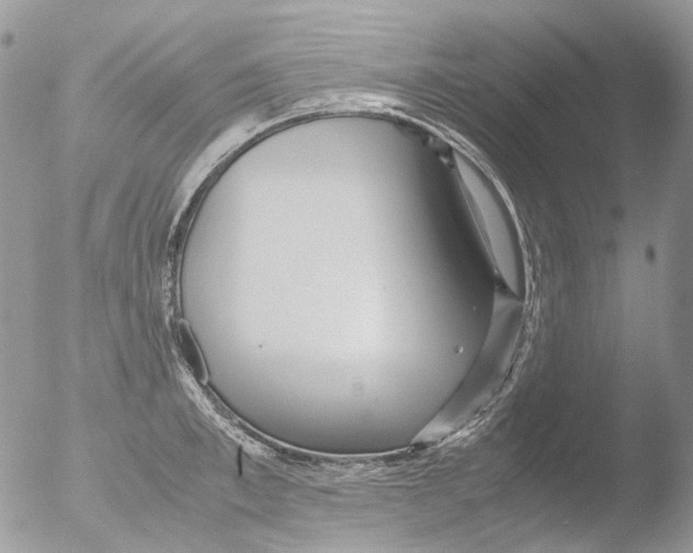 X0000051250997200507152145