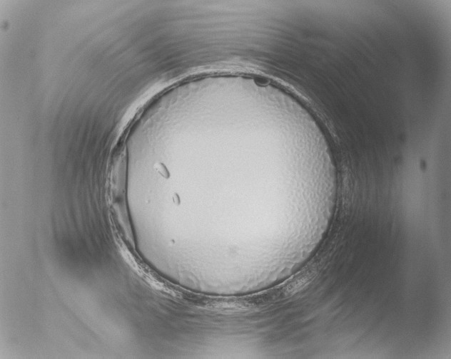 X0000051250998200507152145