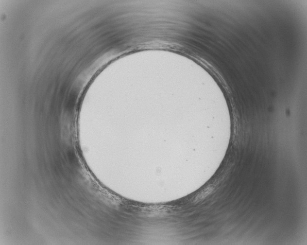 X0000051251000200507152145