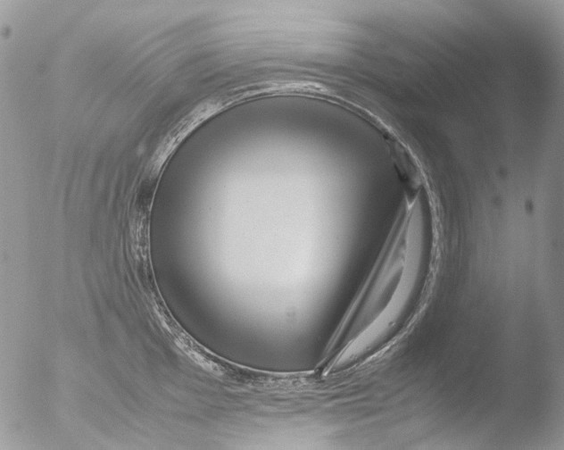 X0000051251001200507152145