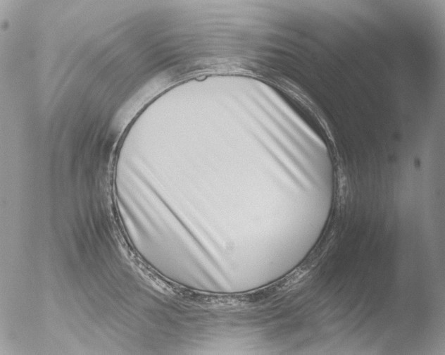 X0000051251002200507152145