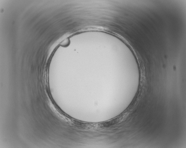 X0000051251003200507152145