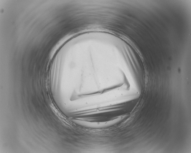 X0000051251004200507152145