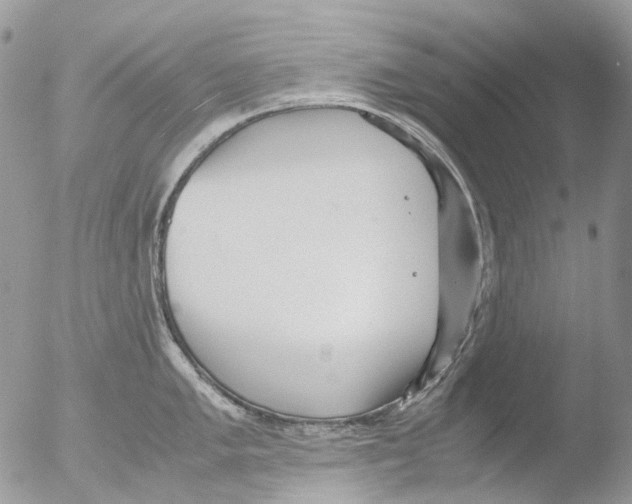 X0000051251005200507152145