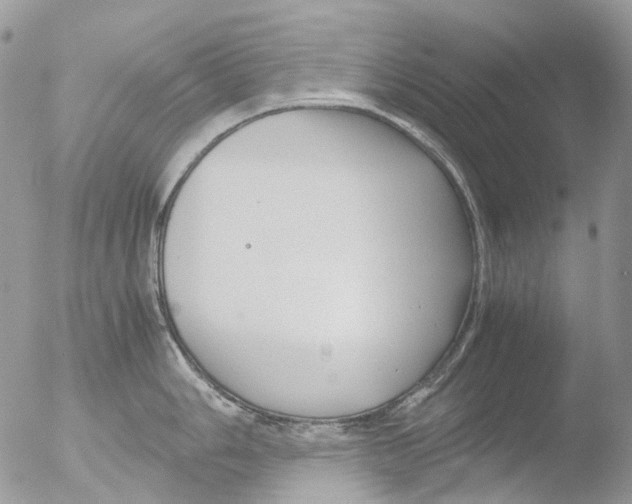 X0000051251006200507152145