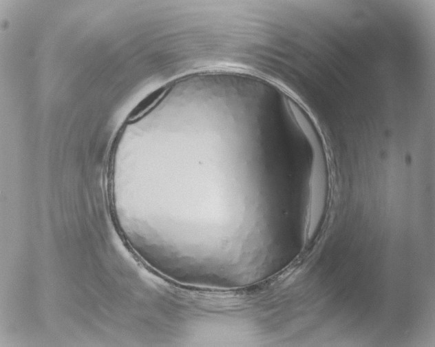 X0000051251007200507152145