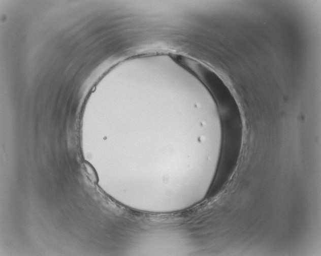 X0000051251008200507152144