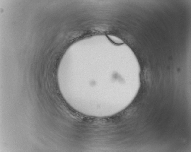 X0000051251009200507152144