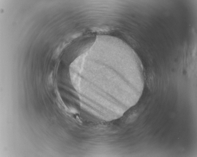 X0000051251010200507152144