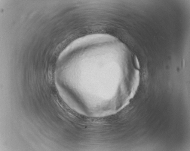 X0000051251011200507152144