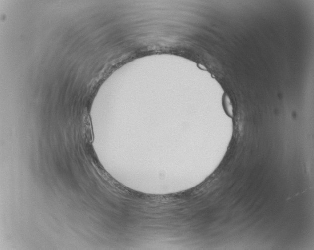 X0000051251012200507152144