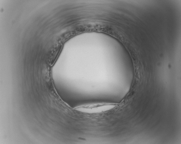 X0000051251013200507152144