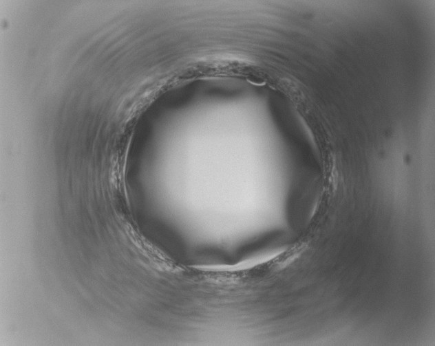 X0000051251014200507152144