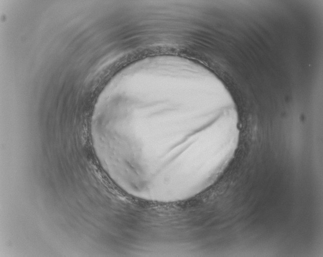 X0000051251015200507152144