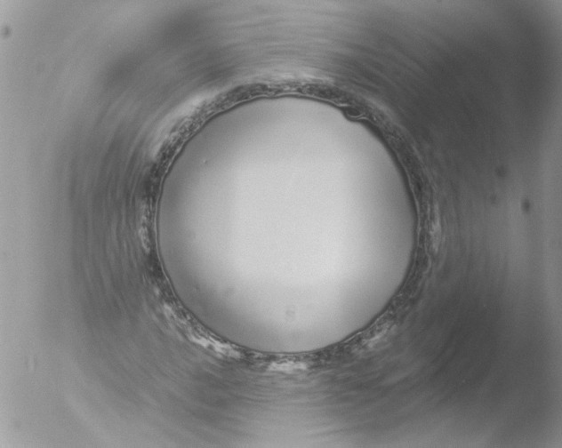 X0000051251016200507152144