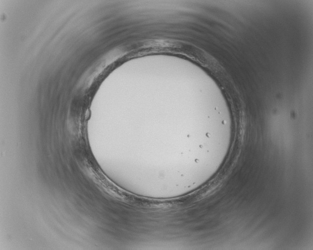 X0000051251017200507152144