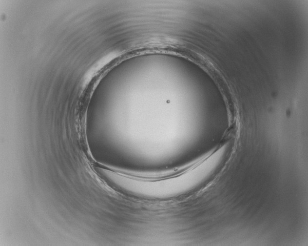 X0000051251018200507152144