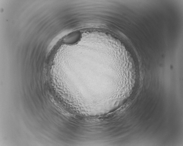 X0000051251019200507152144