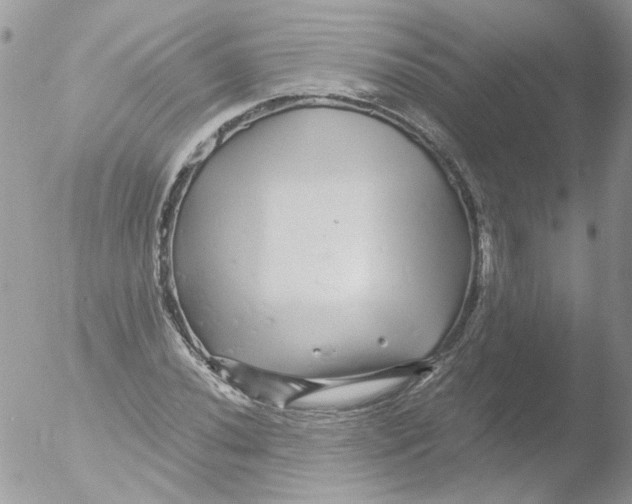 X0000051251020200507152144