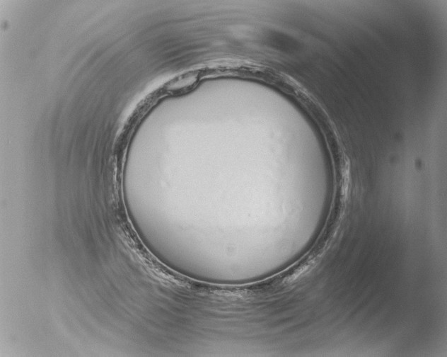 X0000051251021200507152144