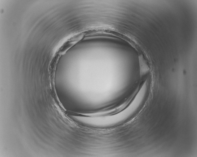 X0000051251022200507152144