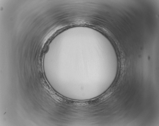 X0000051251023200507152144