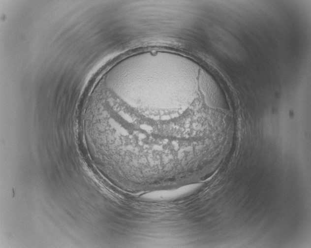 X0000051251024200507152144