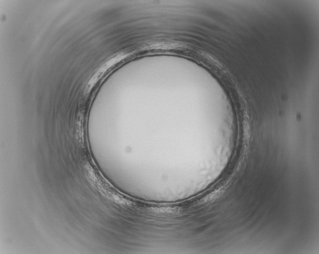 X0000051251025200507152144