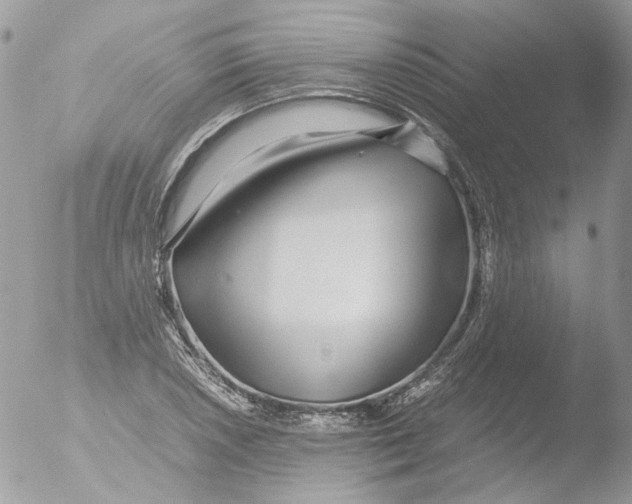 X0000051251026200507152144