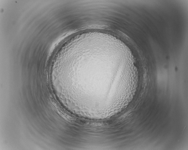 X0000051251027200507152144