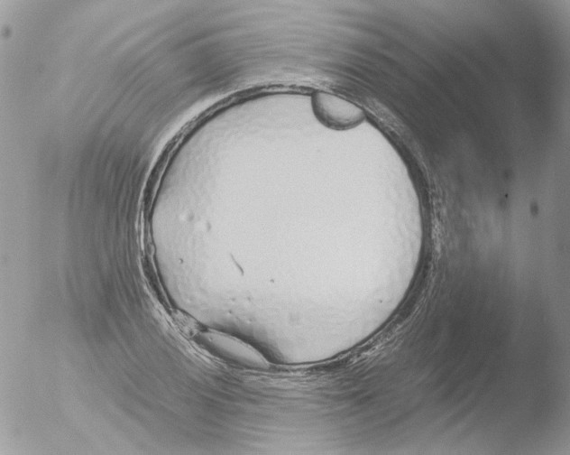 X0000051251028200507152144