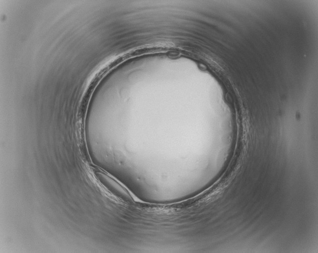 X0000051251029200507152144