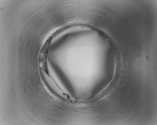 X0000051251030200507152144