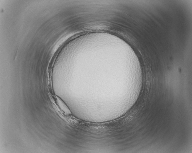 X0000051251031200507152144