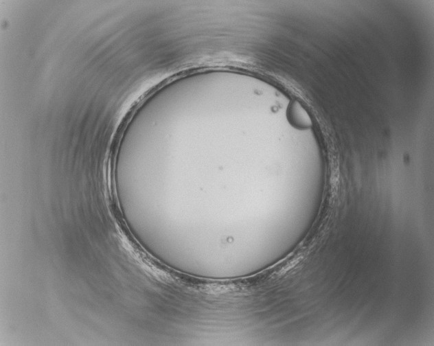 X0000051251032200507152144