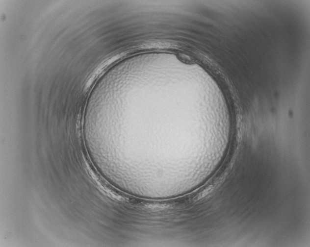 X0000051251033200507152144