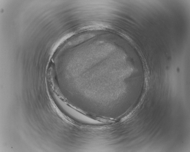 X0000051251034200507152144