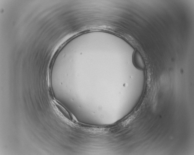 X0000051251036200507152144