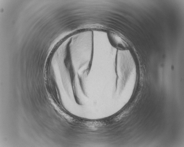 X0000051251037200507152144