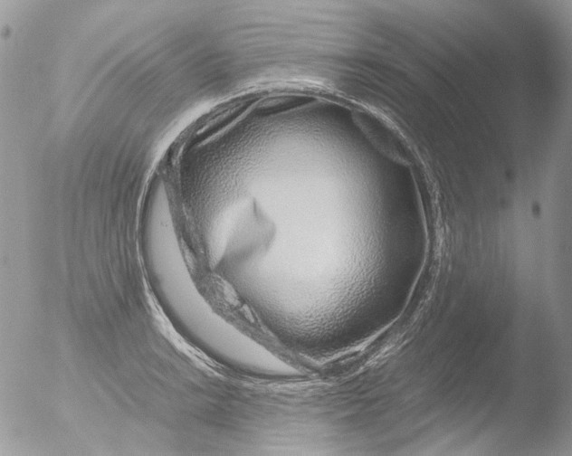 X0000051251038200507152144