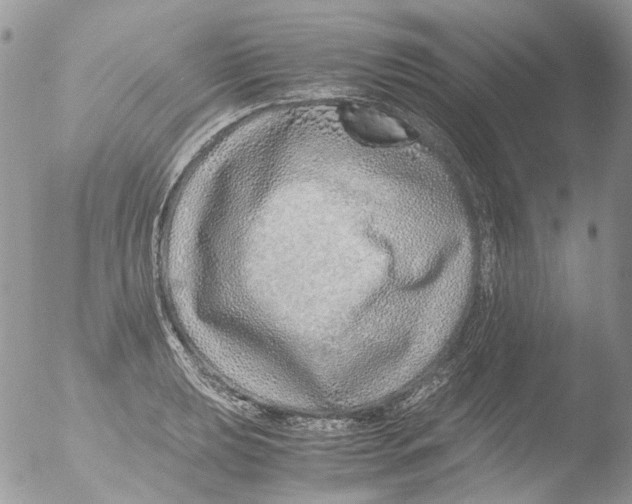 X0000051251039200507152144