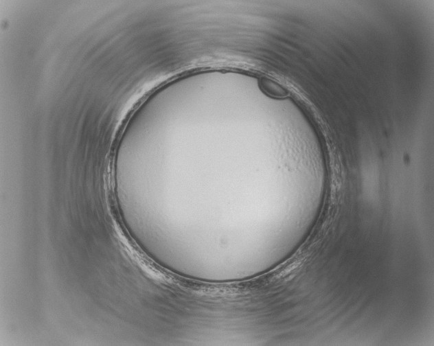 X0000051251040200507152144