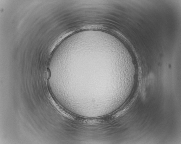 X0000051251041200507152144