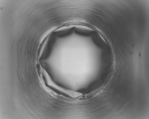 X0000051251042200507152144